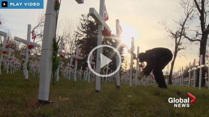 Calgary students lay 3,200 silk flowers to honour fallen soldiers