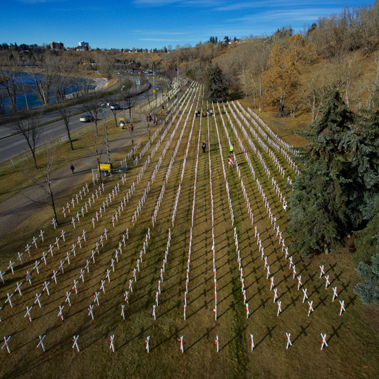 Field of Crosses – A Tribute to those who Served and Died for our ...