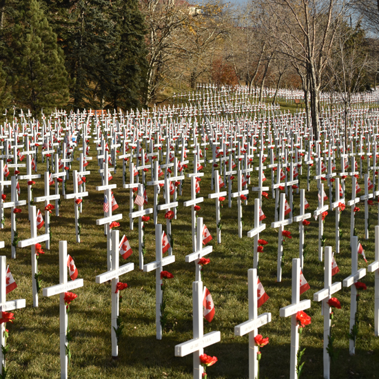 field of crosses a tribute to those who served and died for our