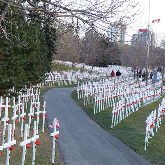 Field of Crosses lit by 3,000 candles on eve of Nov. 11