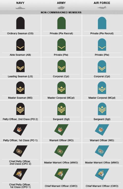 Non-commissioned Member Ranks – Field of Crosses