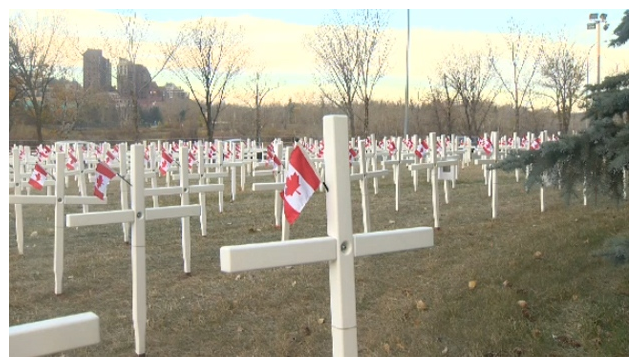 Inspired to honour the contributions of fallen veterans