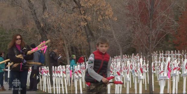 Field of Crosses honours fallen southern Alberta soldiers