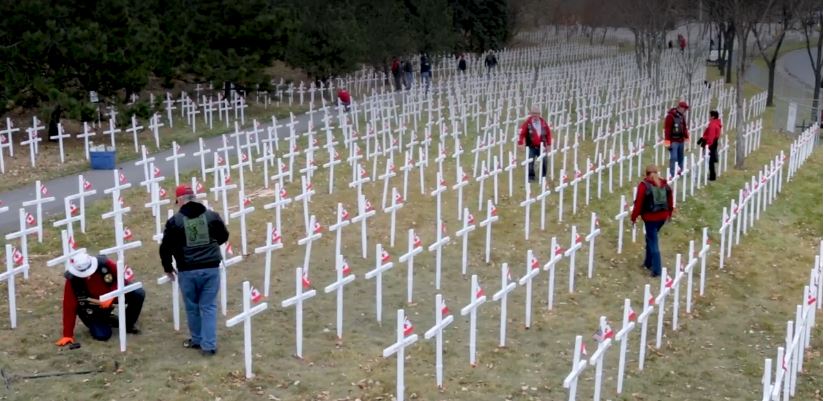 Hundreds of new crosses join solemn field honouring fallen soldiers