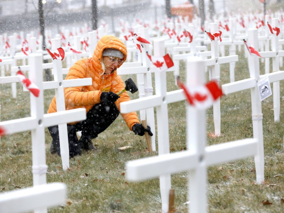 Field of Crosses returns to Memorial Drive ahead of Remembrance Day