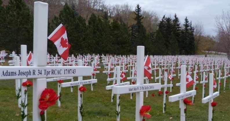 Thank You From Field of Crosses